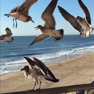 Meet your Posher, Carolyn